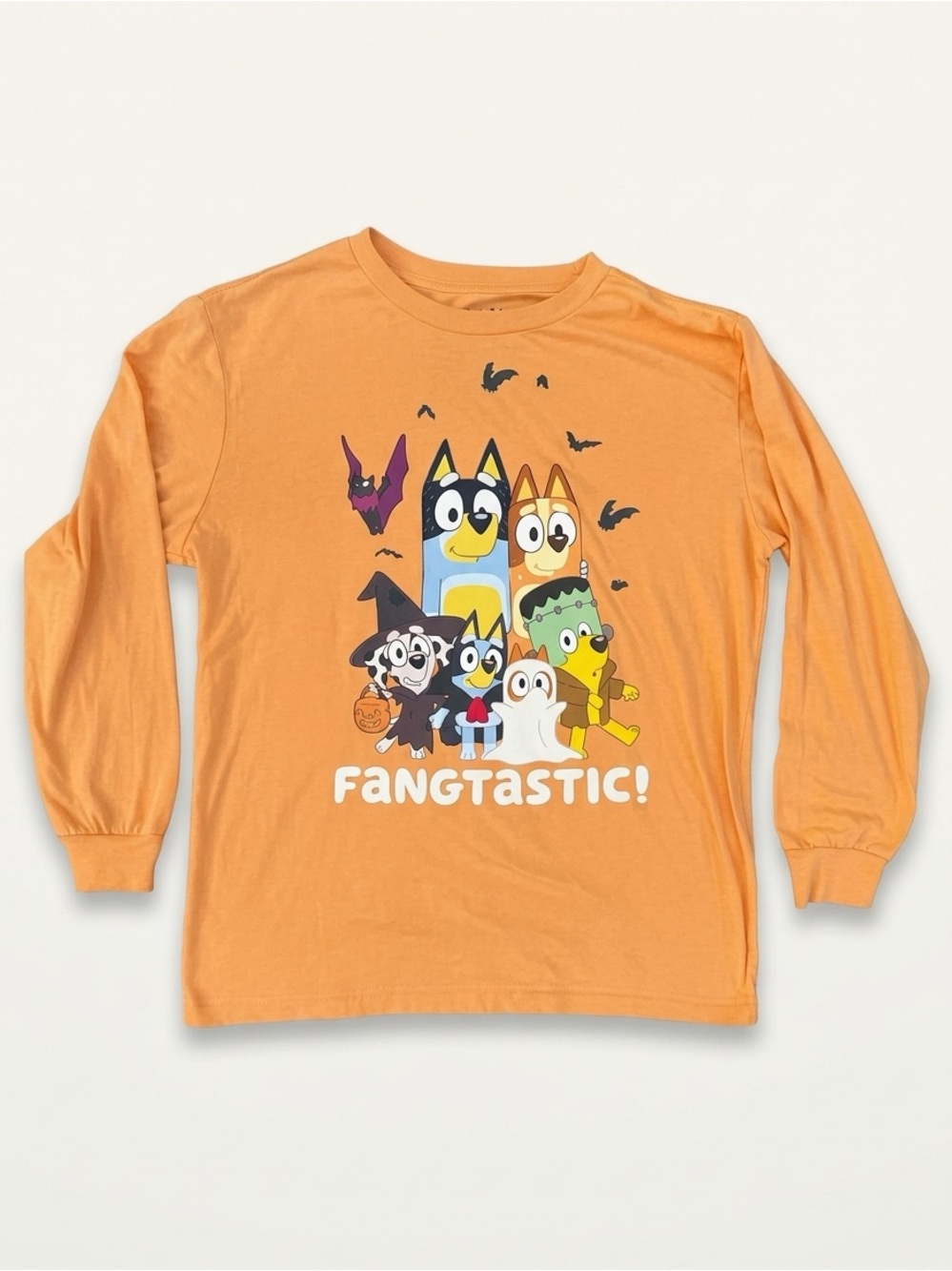 Bluey Halloween Fangtastic Graphic Orange Long Sleeve Shirt Adult Large Teacher